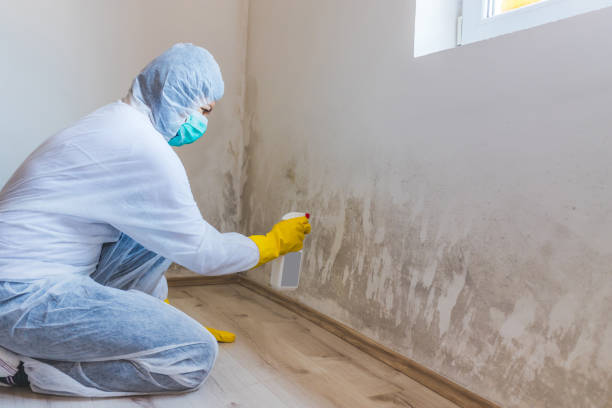 Mold Remediation specialist working in Aurora